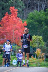 BIB: 2005
                            <button type="button" onclick="openModal(19241083)" class="btn btn-primary btn-sm float-right btn-popup" data-toggle="modal" data-target=".modal-high-quality">
                        <i class="fas fa-shopping-cart"></i> Add to Cart
                    </button>
                                            <button type="button" onclick="isThisMe(19241083, true)" class="btn btn-success btn-sm float-right btn-popup btn-isme hidden" data-toggle="tooltip" data-placement="bottom" title="นี่คือรูปของคุณใช่ไหม คลิกที่นี่เพื่อเอาเข้าอัลบั้ม">
                        <i class="fas fa-plus"></i> Add to album
                    </button>
                    <button type="button" onclick="isThisMe(19241083, false)" class="btn btn-warning btn-sm float-right btn-popup btn-isnotme hidden">
                        <i class="fas fa-ban"></i> Remove from album
                    </button>